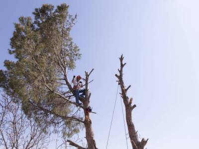 Our Work